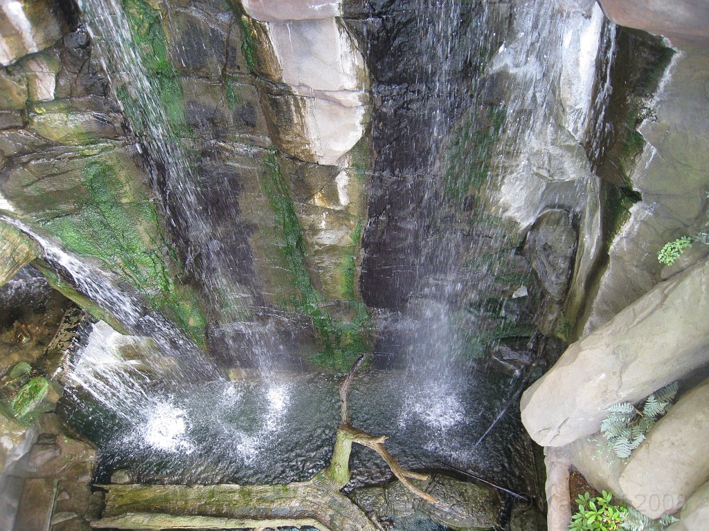 Baltimore MD 2009 1990.jpg - A 4th of July trip to Washington DC in 2009 included a stop in Baltimore MD to see the National Aquarium.